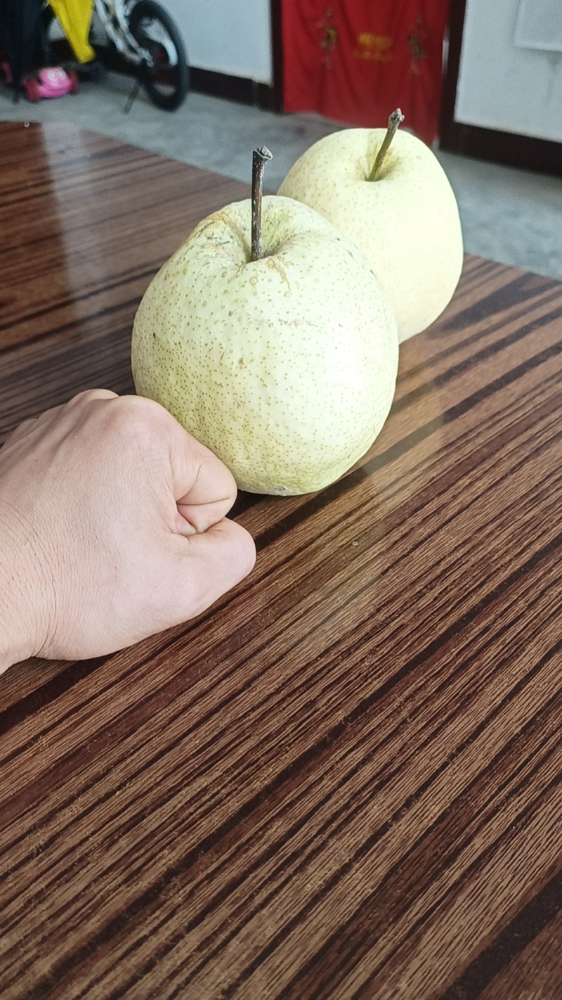纸袋梨