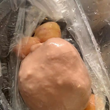 鸡宝