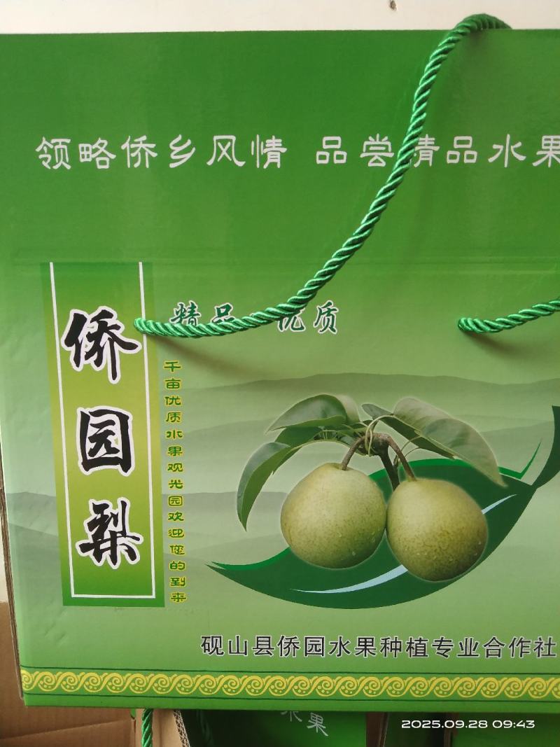 云南高原侨园梨