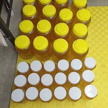 常年出售东北椴树蜂蜜百花蜜花粉蜂胶蜂王浆