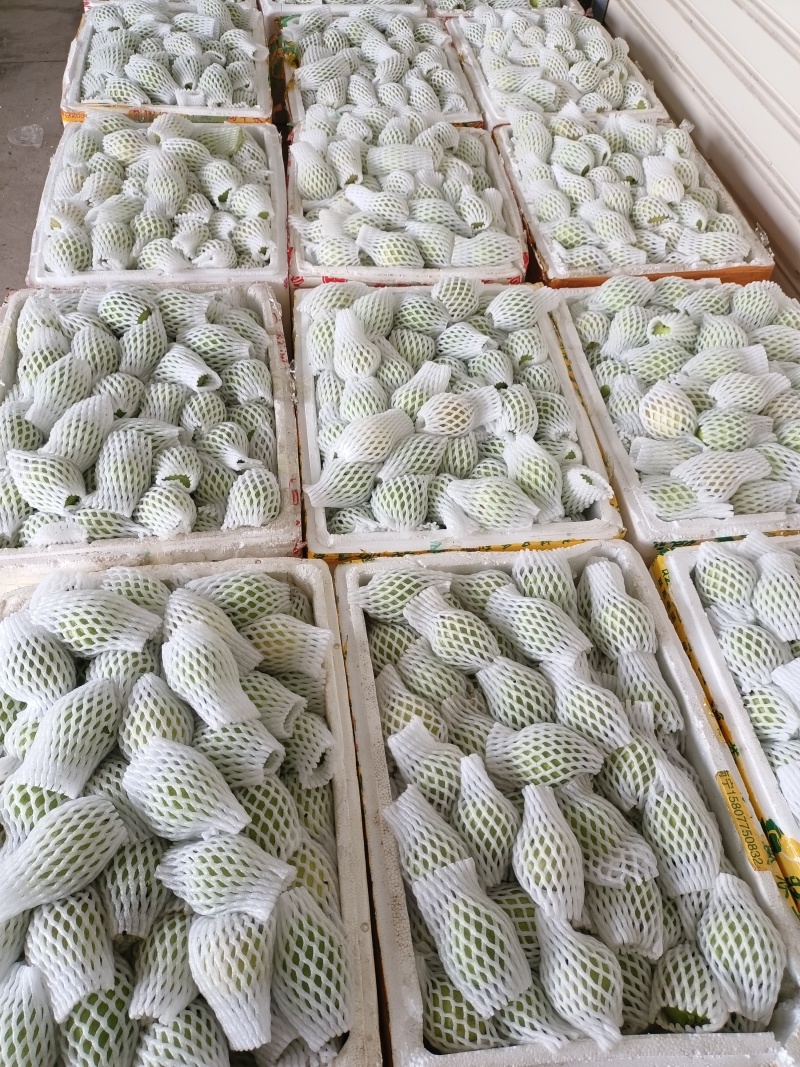 红心西瓜芭乐