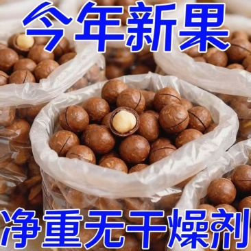 新货夏威夷果大颗粒果袋装奶香味坚果干果休闲