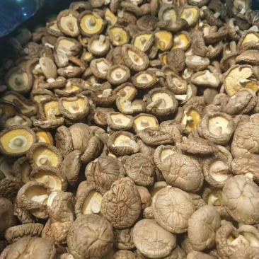 干香菇产地批发一手货源源头产地电商供货