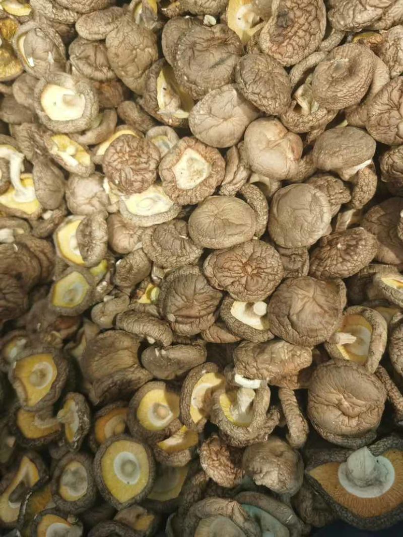 干香菇产地批发一手货源源头产地电商供货