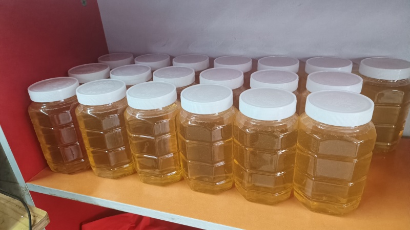 常年出售东北林业椴树蜂蜜百花蜜蜂王浆