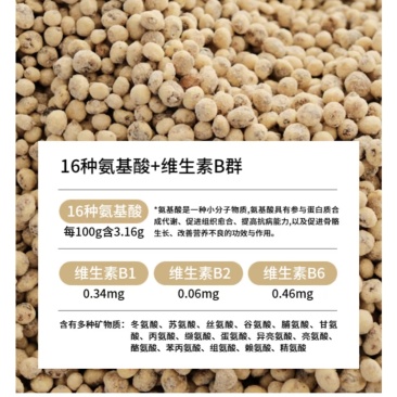 新疆油莎豆及植物乳