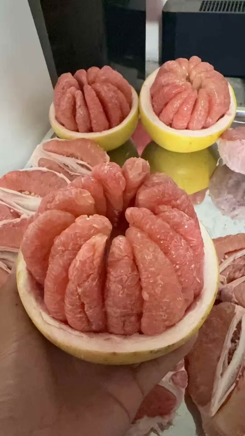 三红柚