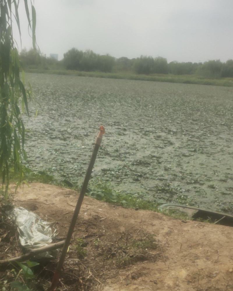 武汉黄陂區盘龙城经济开发区