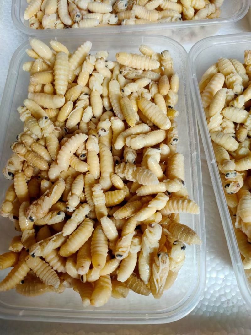 每瓶5斤和10斤装，自家浸泡。蜂蛹包装1斤