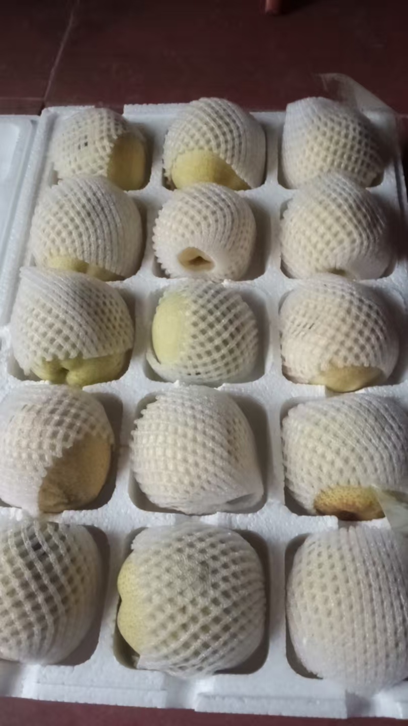 砀山酥梨百年老树，一件也包邮，一件十来斤，酥脆多汁，大果