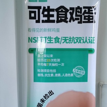 可生食无抗生素的好鸡蛋