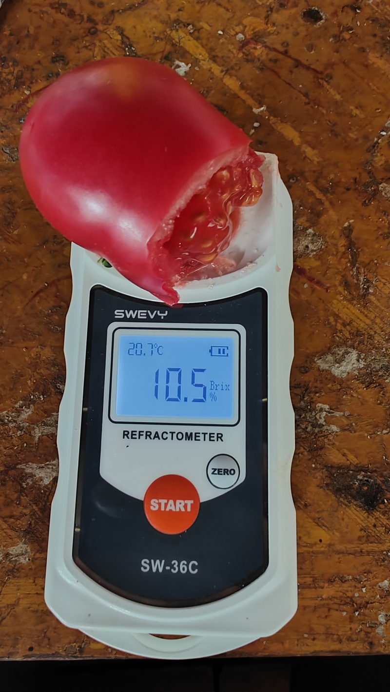 高糖番茄，高糖脆柿子，布莱尼嘉宏100，包上车包到岸都可以谈