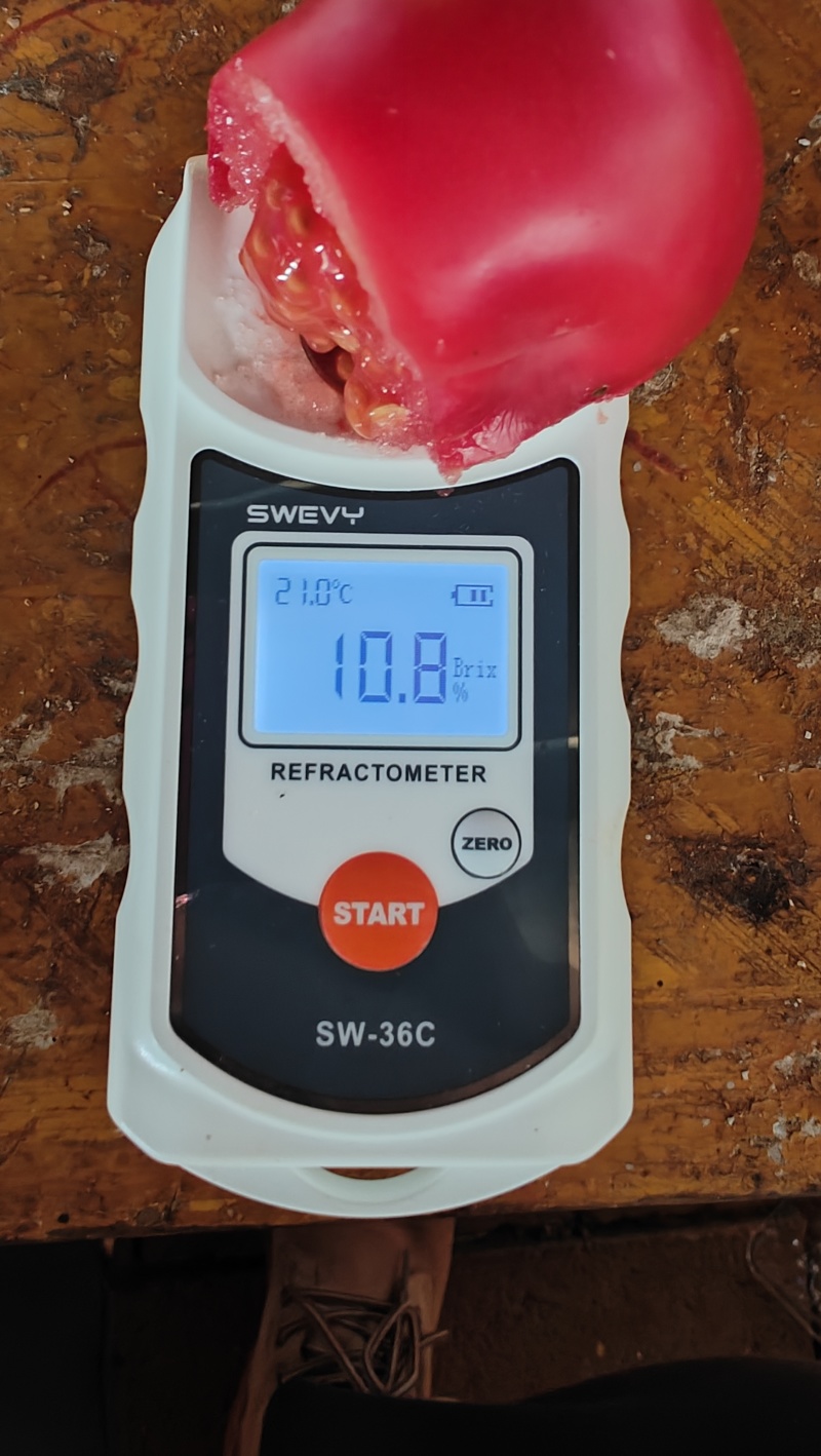 高糖番茄，高糖脆柿子，布莱尼嘉宏100，包上车包到岸都可以谈