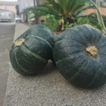 湖北荆州仓库一件代发贝贝南瓜，品质可靠。物流速度块快，评分高