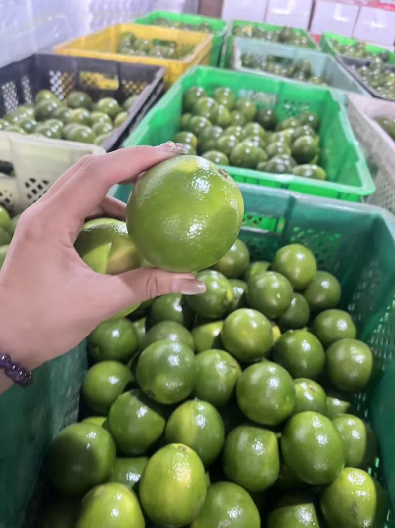 云南高糖冰糖橙