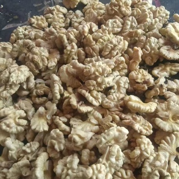 云南老树核桃