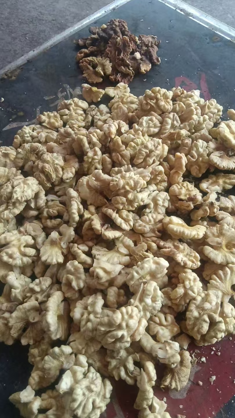 云南老树核桃
