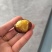 ***产品板栗