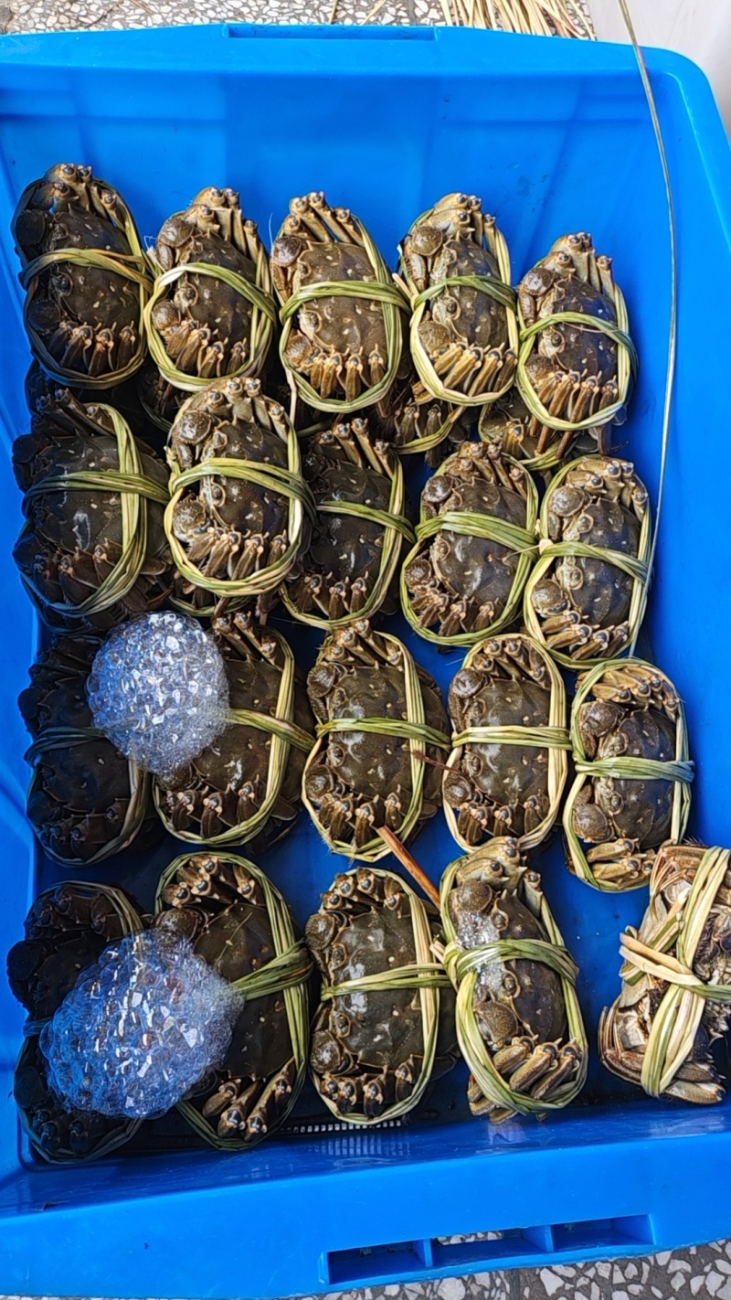 大闸蟹