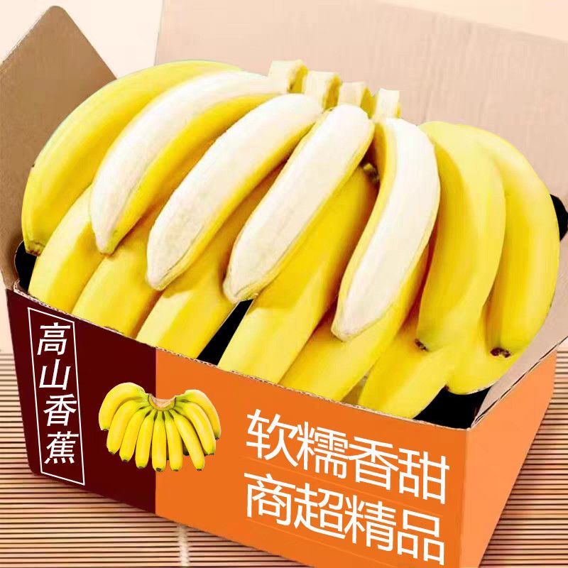 云南高山香蕉，新鲜采摘，青果发货
