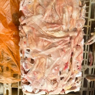 二级种鸡爪基本都是母鸡爪单个50-60克左右30吨