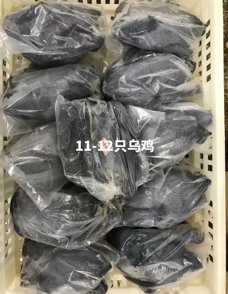 乌鸡各种规定全新冷冻批发一手货源价格给力。