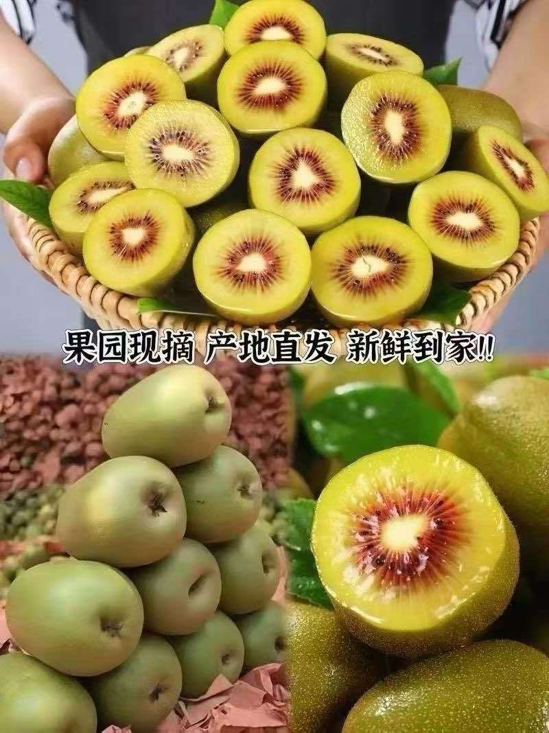 广西乐业红心猕猴桃新鲜采摘产地直发皮包肉厚