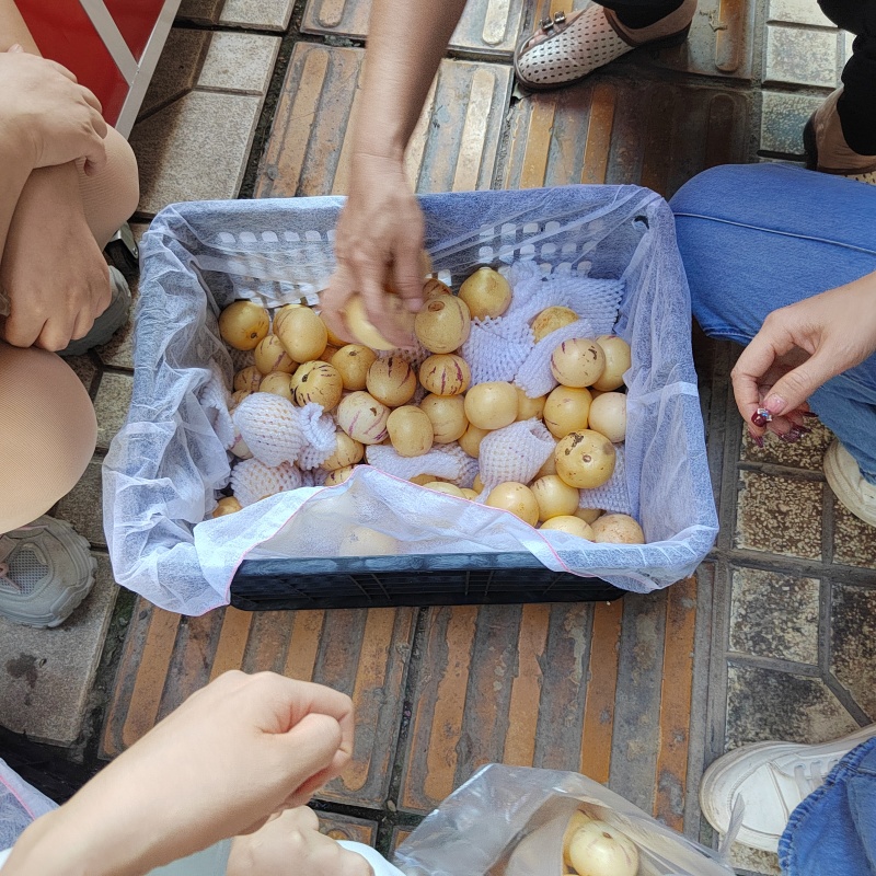 云南人参果