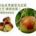 山东沾化大棚二代冬枣