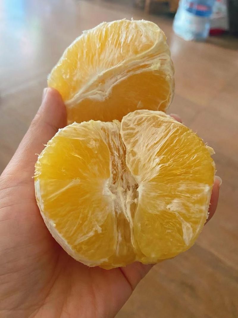 热带水果现採现发