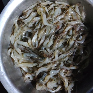 河虾