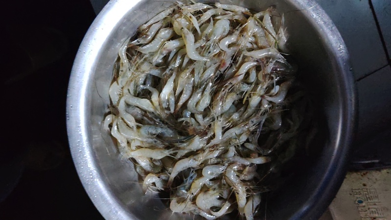 河虾