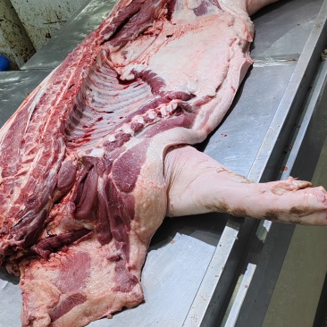 黄山华徽新鲜猪肉批发