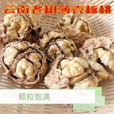 核桃