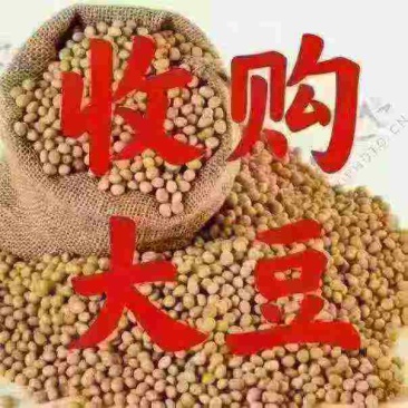 齐齐哈尔市龙江县大豆价格