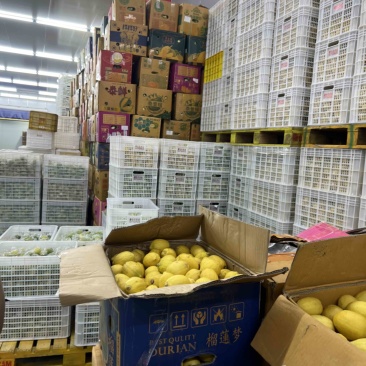 广东香水柠檬工厂切片、电商款黄柠檬，裸果，可打各种彩袋包装