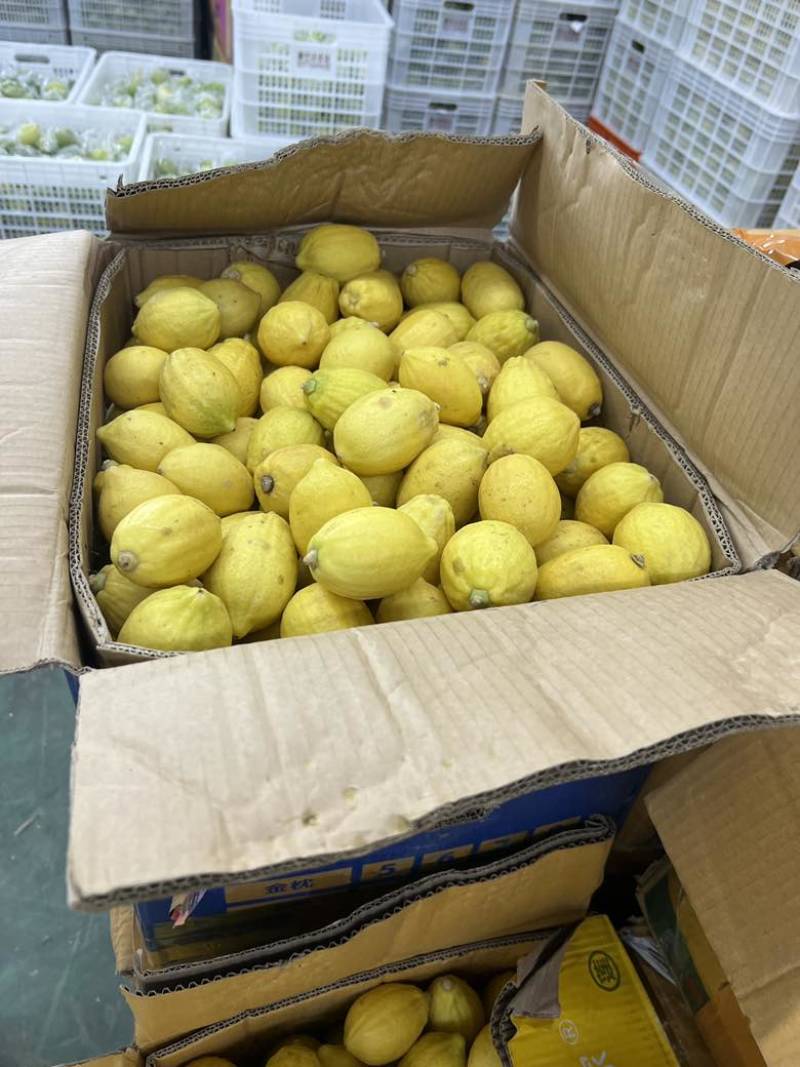 广东香水柠檬工厂切片、电商款黄柠檬，裸果，可打各种彩袋包装