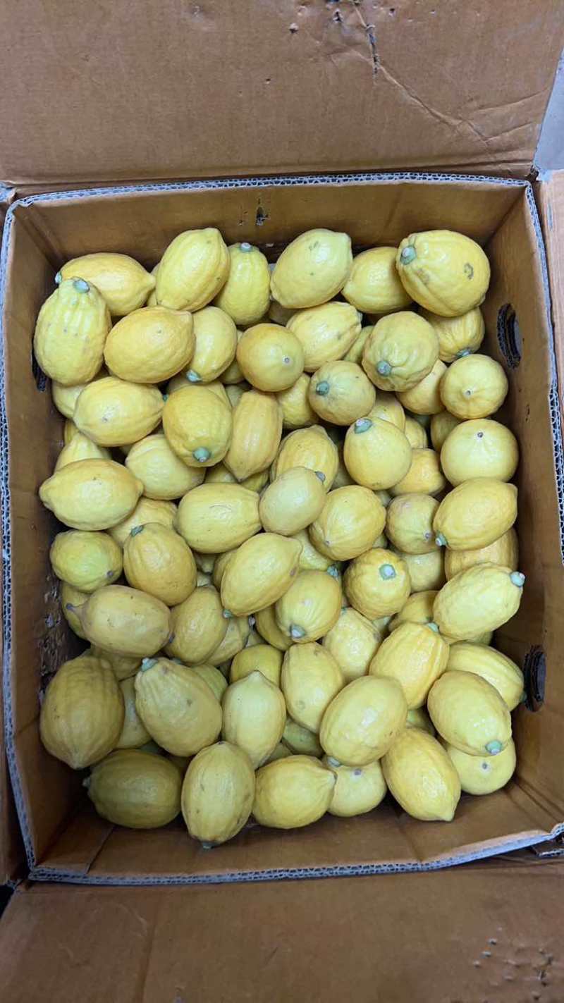 广东香水柠檬工厂切片、电商款黄柠檬，裸果，可打各种彩袋包装