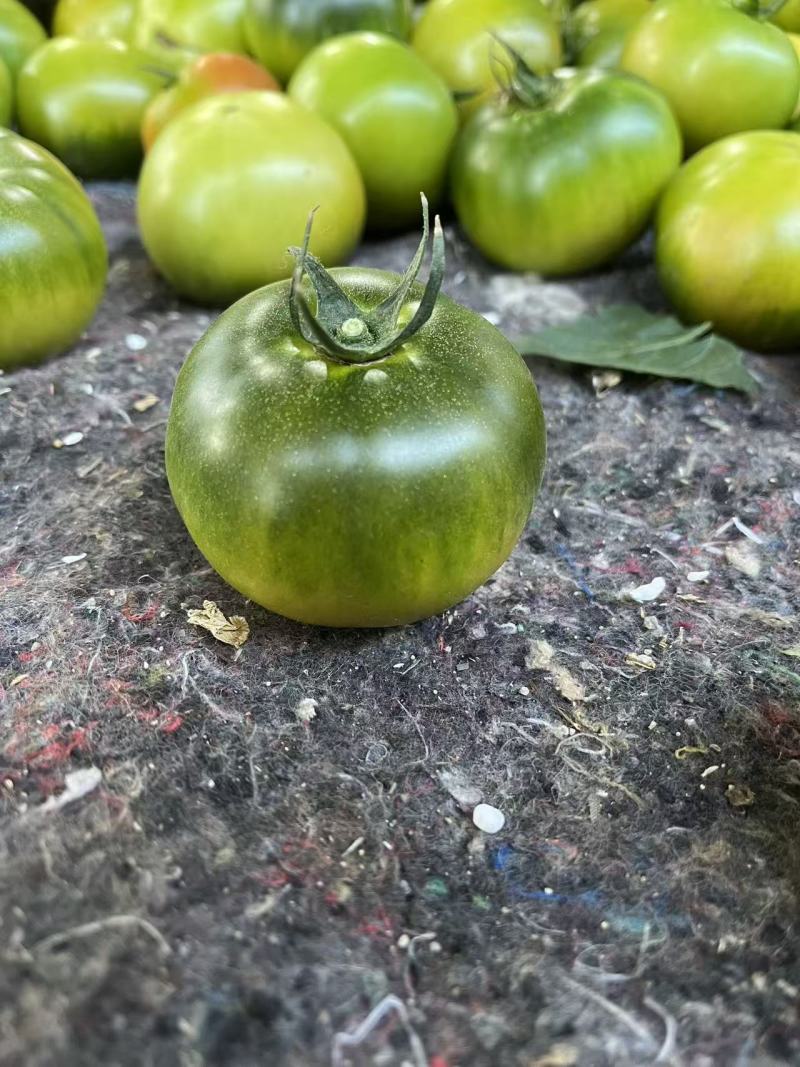 草莓番茄