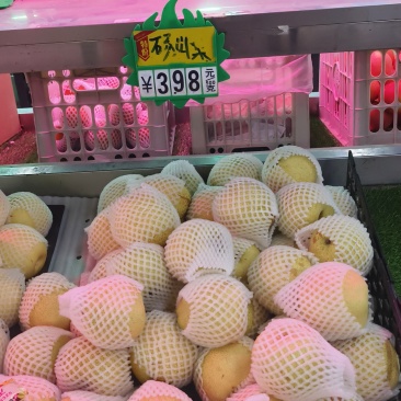 酥梨，套袋子梨，梨