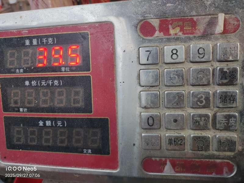 云南高山武定土鸡
