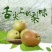 山西隰县玉露香梨