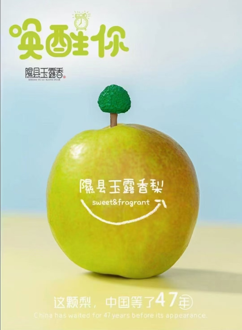 山西隰县玉露香梨