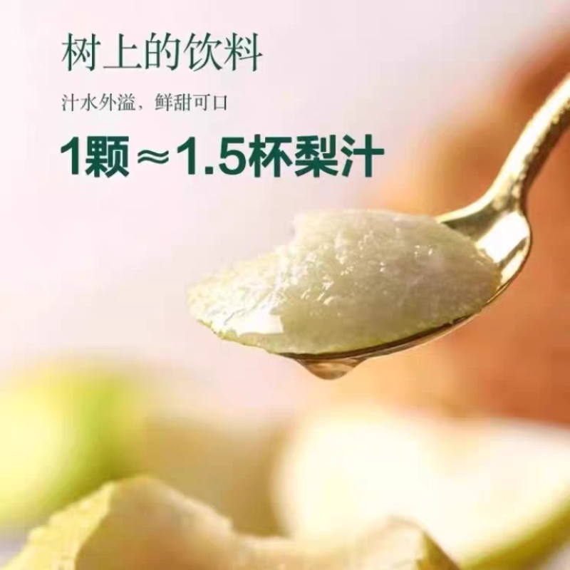 山西隰县玉露香梨