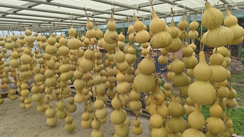 精品手捻小葫芦