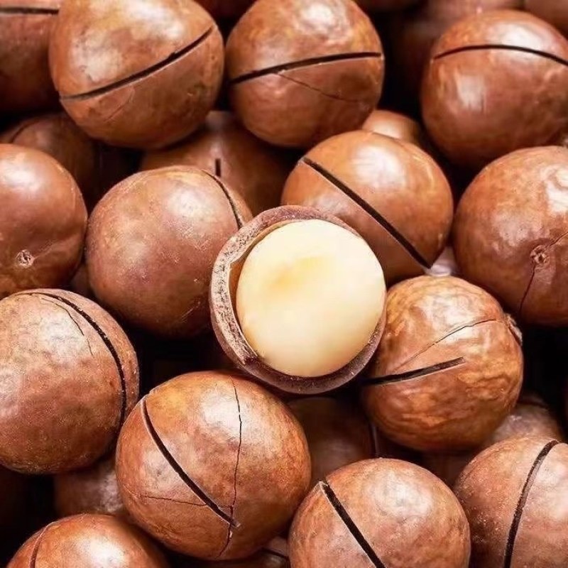 夏威夷果电商一件代发有量你就来