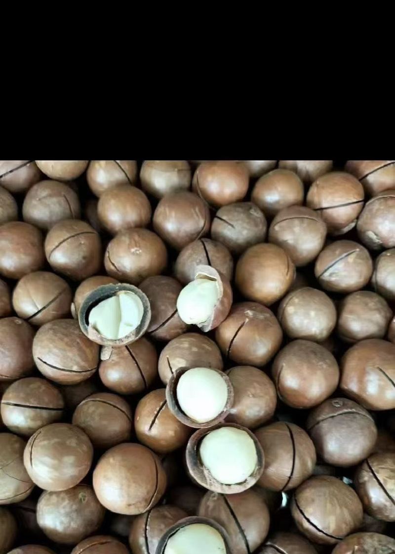 夏威夷果，线上线下接单，量大管够，非诚勿扰