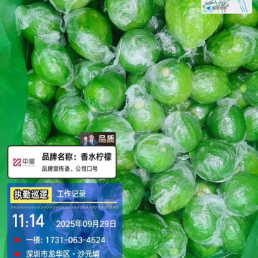 广东香水柠檬一级果