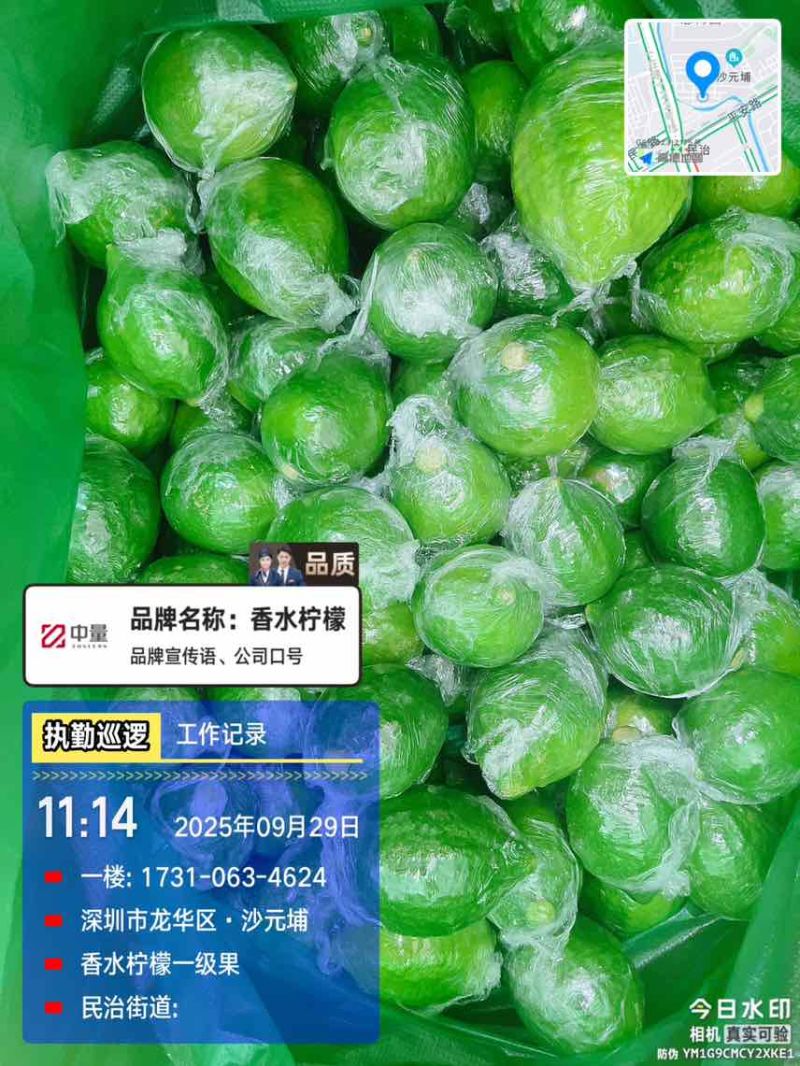 广东香水柠檬一级果