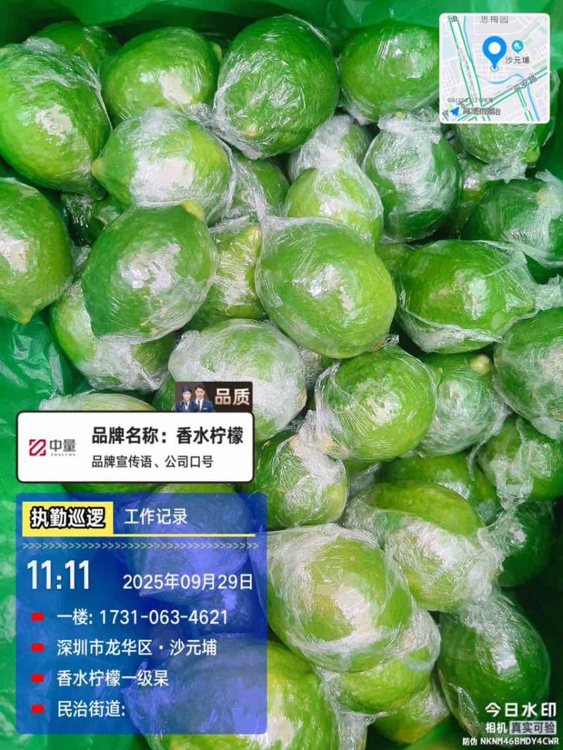 广东香水柠檬一级果